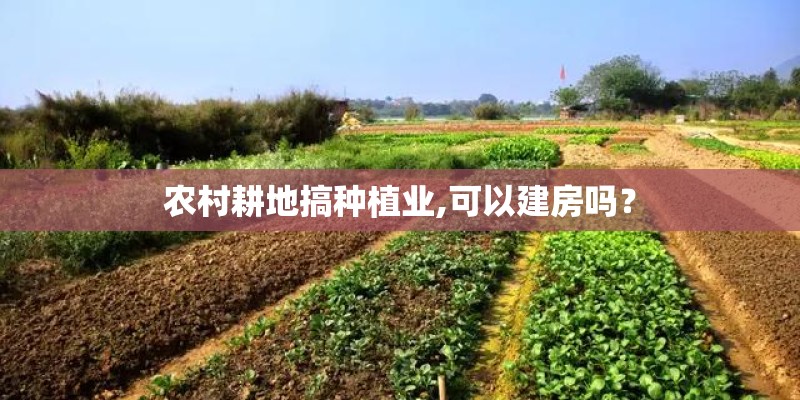 农村耕地搞种植业,可以建房吗？