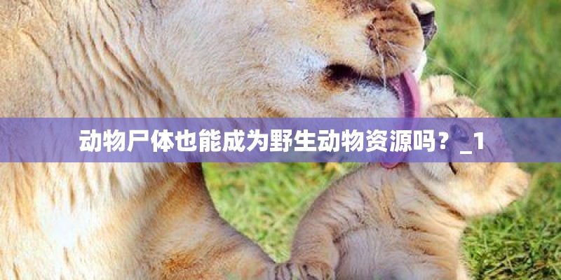 动物尸体也能成为野生动物资源吗？_1