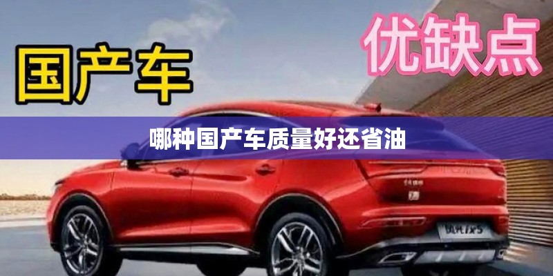哪种国产车质量好还省油