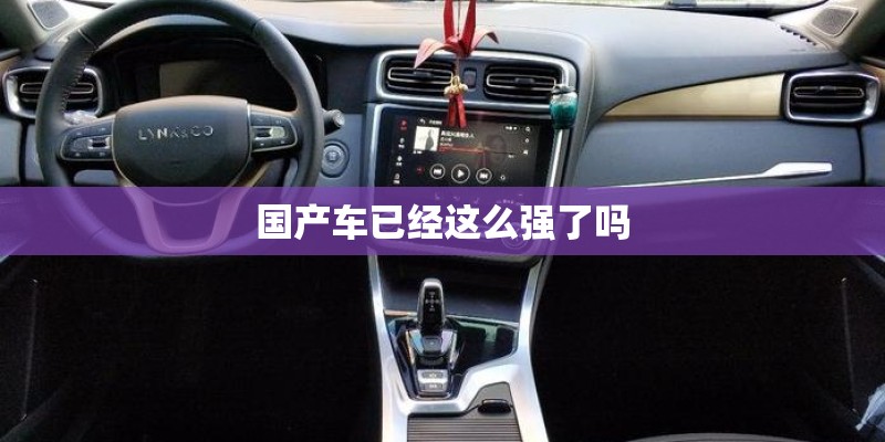 国产车已经这么强了吗