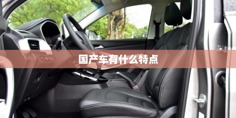 国产车有什么特点