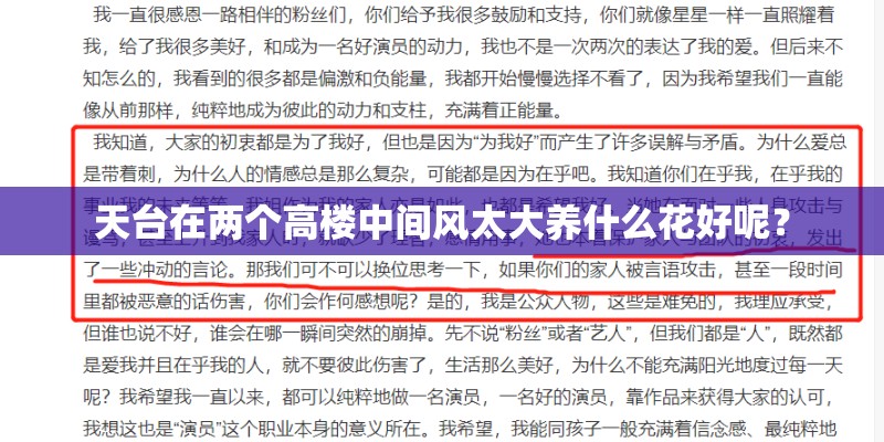 天台在两个高楼中间风太大养什么花好呢？