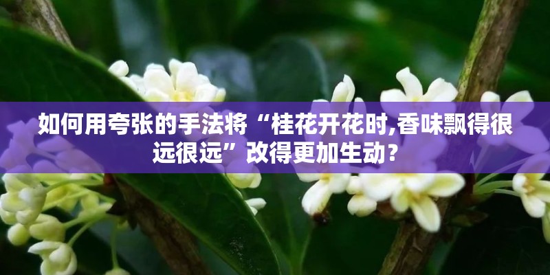 如何用夸张的手法将“桂花开花时,香味飘得很远很远”改得更加生动？