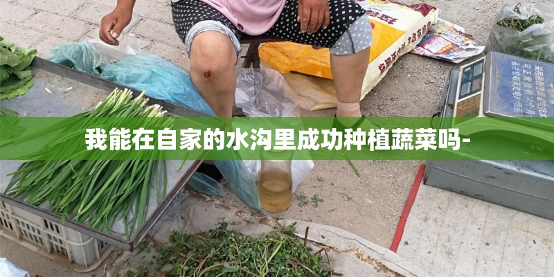我能在自家的水沟里成功种植蔬菜吗- 我能在自家的水沟里成功种植蔬菜吗-