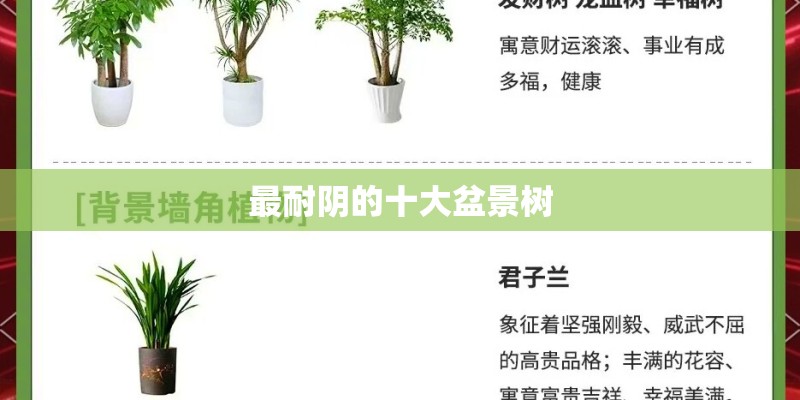 最耐阴的十大盆景树