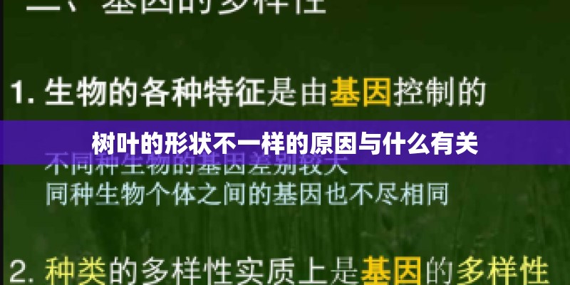 树叶的形状不一样的原因与什么有关 树叶的形状不一样的原因与什么有关