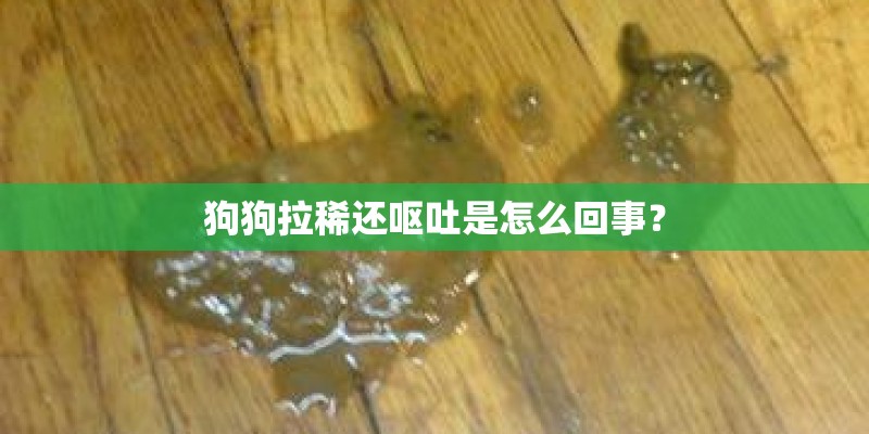 狗狗拉稀还呕吐是怎么回事？