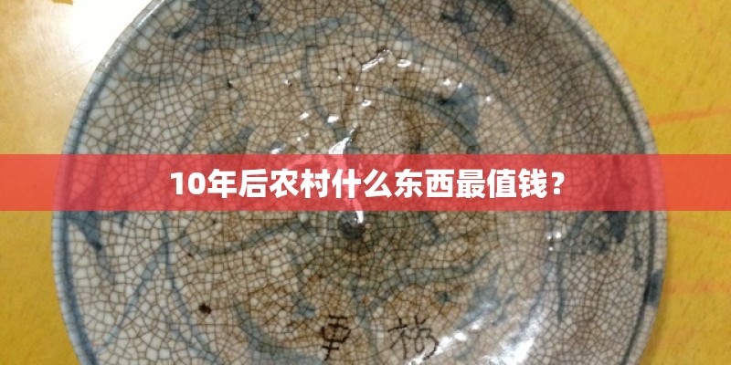 10年后农村什么东西最值钱? 10年后农村什么东西最值钱?