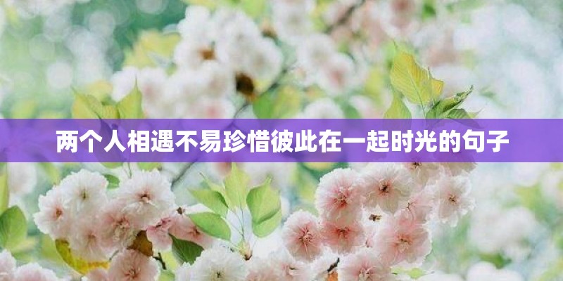 两个人相遇不易珍惜彼此在一起时光的句子