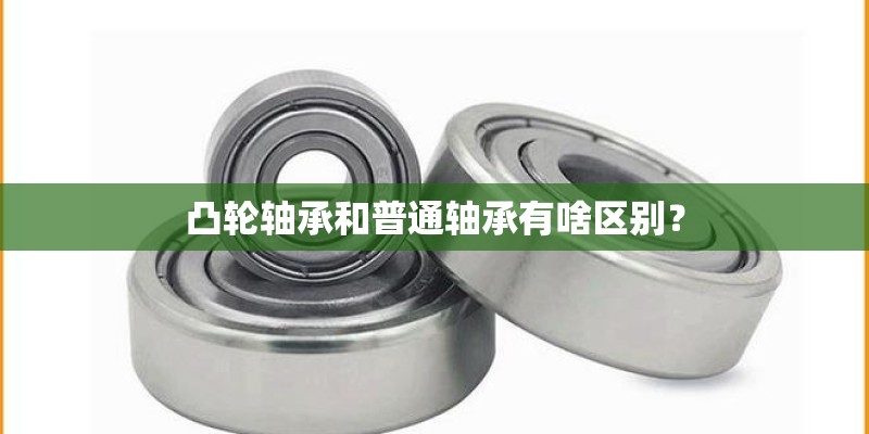 凸轮轴承和普通轴承有啥区别? 凸轮轴承和普通轴承有啥区别?