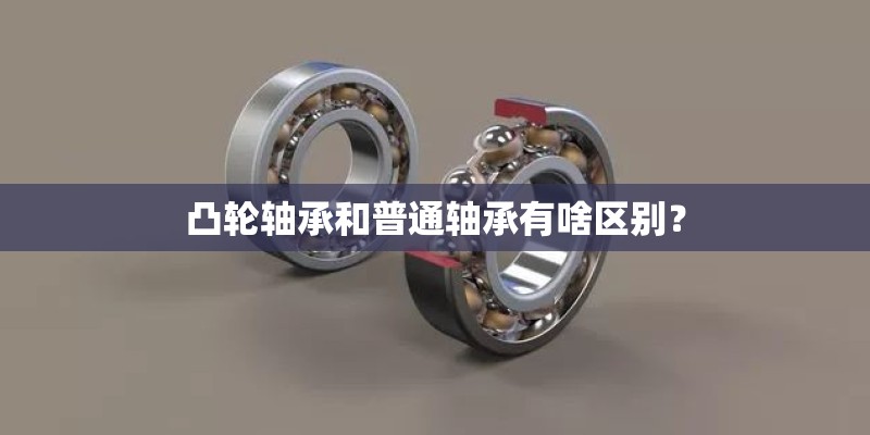 凸轮轴承和普通轴承有啥区别? 凸轮轴承和普通轴承有啥区别?