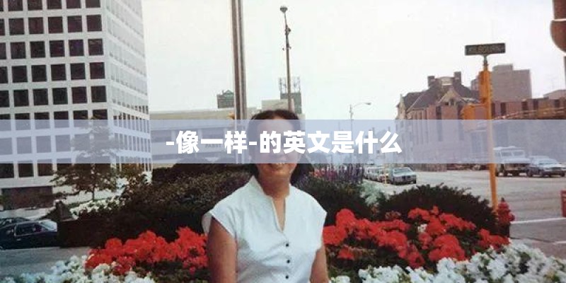 -像一样-的英文是什么