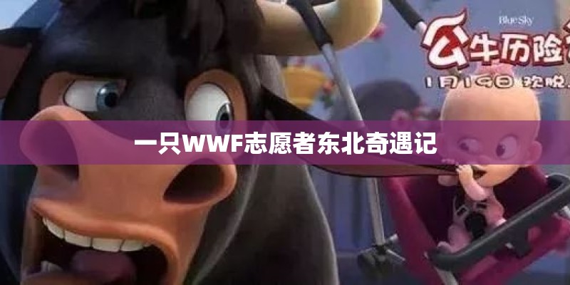 武汉城市联赛的联赛系统