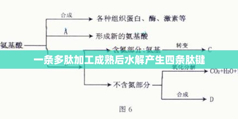 手机连电脑就死机