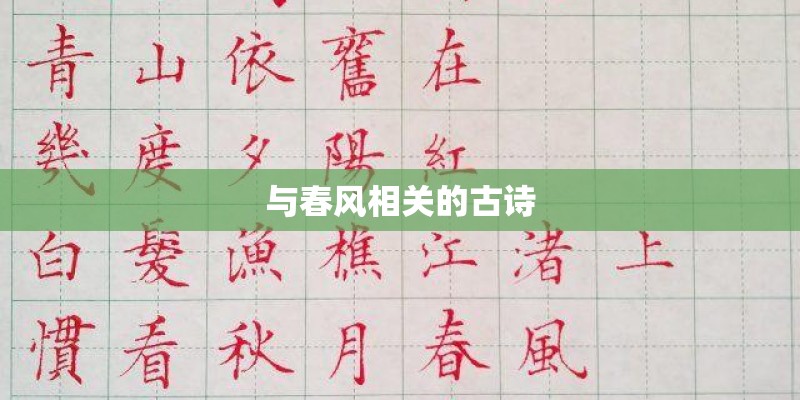 与春风相关的古诗 与春风相关的古诗