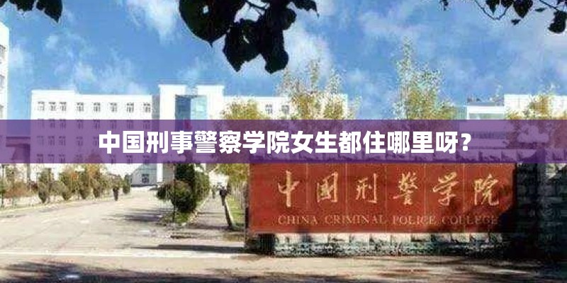 手机连电脑就死机