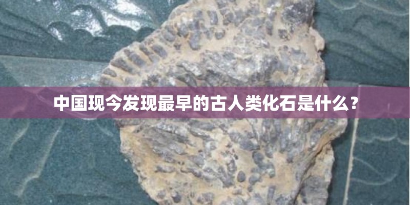 武汉城市联赛的联赛系统